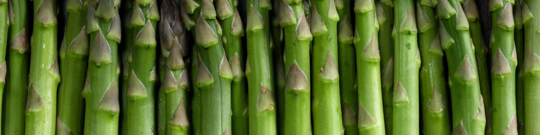 Asparagine