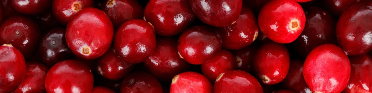 Cranberry