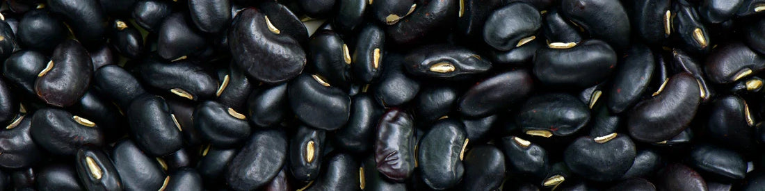 Mucuna Pruriens (Fluweelboon)