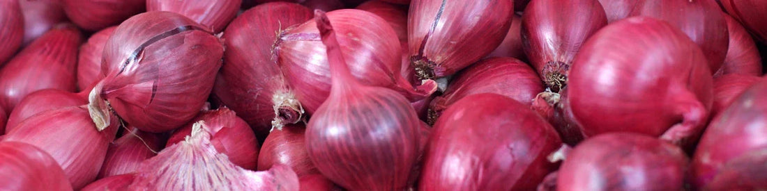 FOS (fructo-oligosachariden)