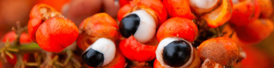 Guarana