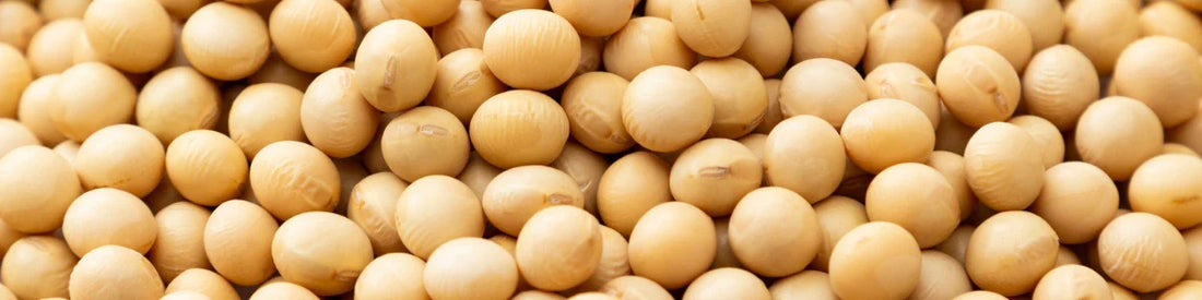 Isoflavonen (uit Soja)