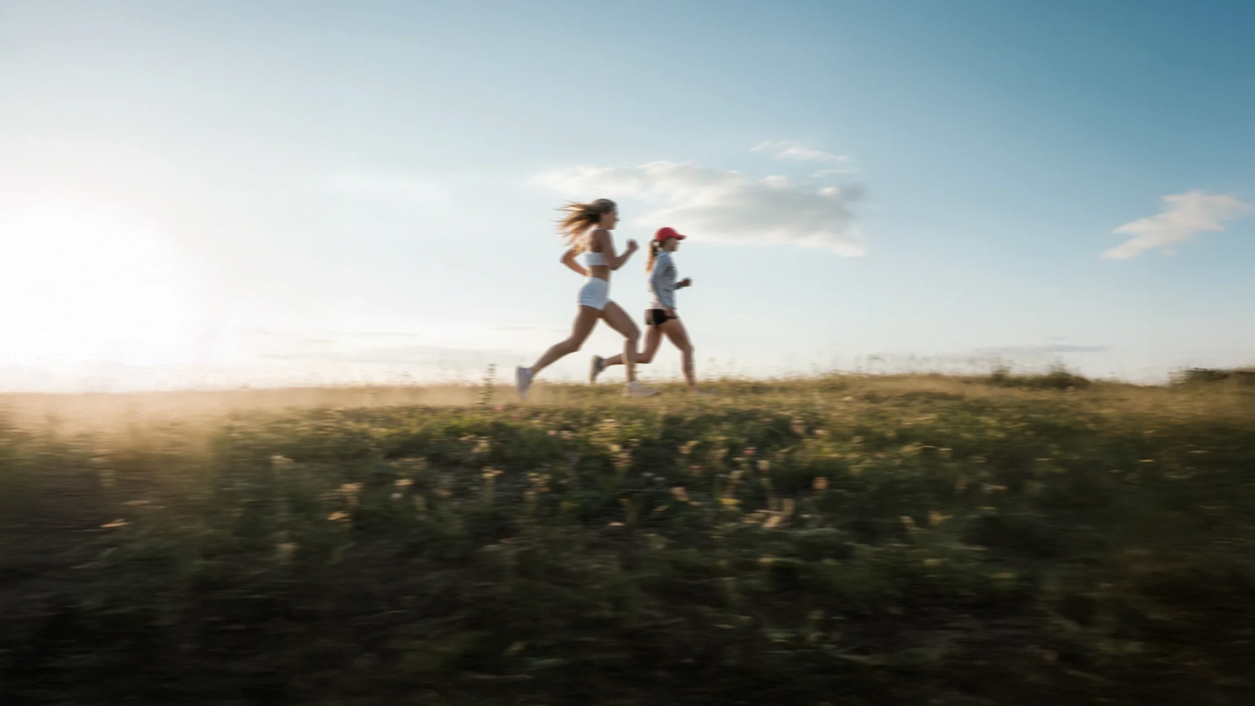 Botten, spieren & gewrichten